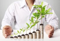 Pesquisa: 87% querem ser mais sustentáveis, mas só 35% mudam comportamentos