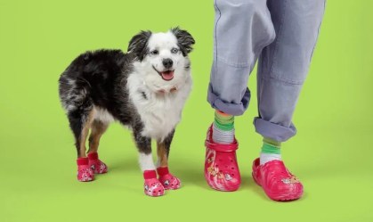 Crocs lança sandália para cachorros combinarem com seus donos
