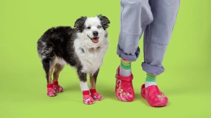 Cachorro vestindo os crocs para pets ao lado de dono com sandálias combinando