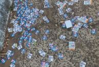 MS registra 21 ocorrências em locais de votação até o fim da manhã