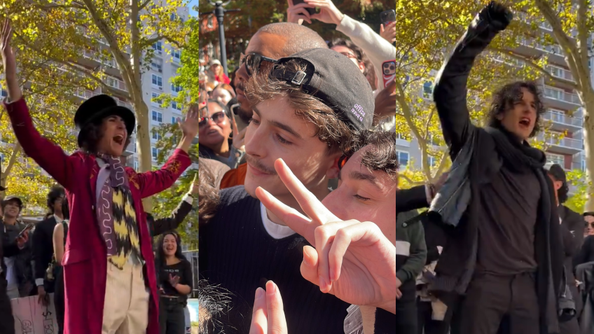 Timothée Chalamet comparece ao próprio concurso de sósias • X/ New York Mickey/itweetabttv
