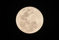 Como a Lua pode direcionar os ciclos internos, segundo a astrologia