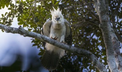 thumbnail_João Marcos Rosa (1)