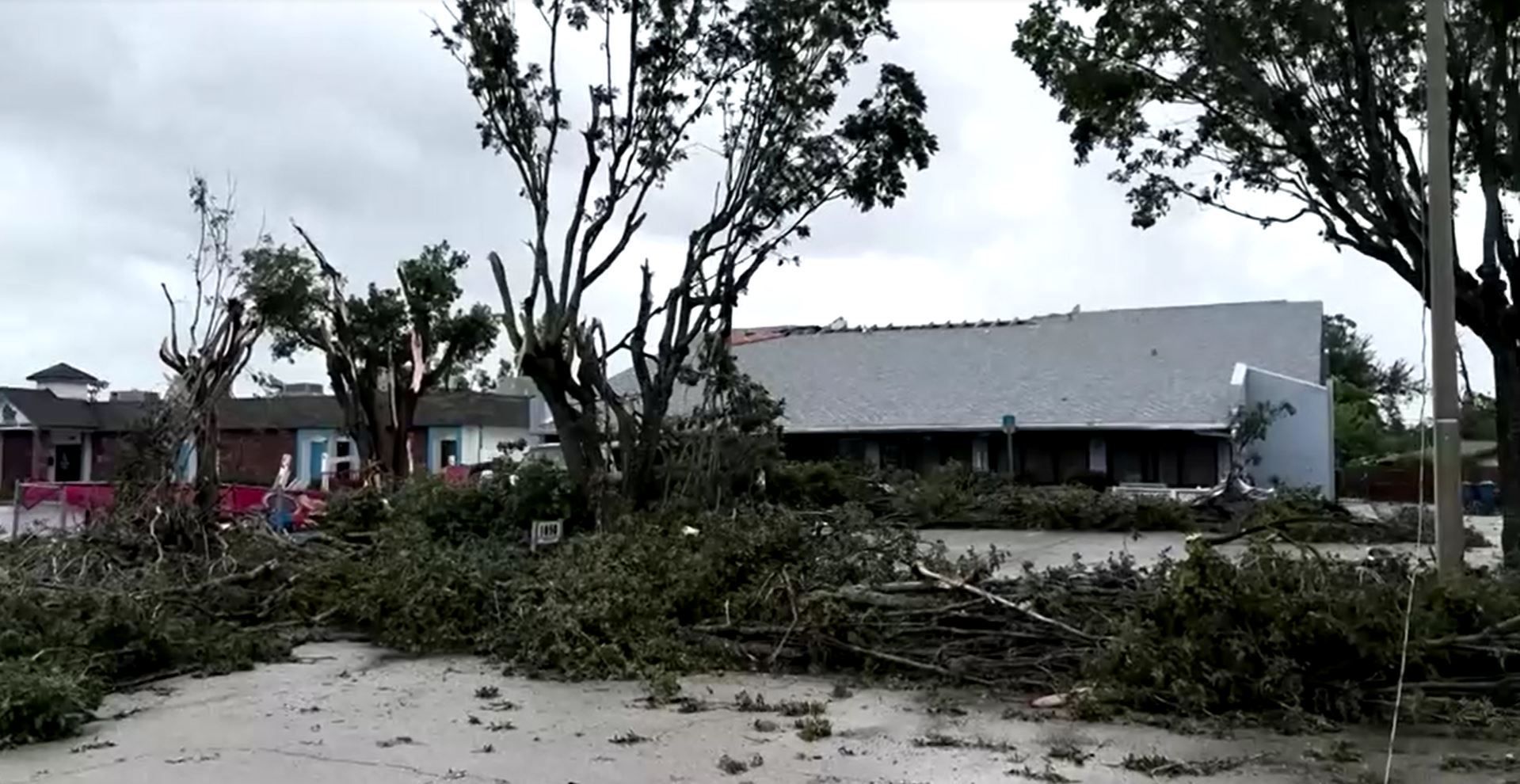Árvores caídas em Fort Myers, Flórida, antes da chegada do Furacão Milton