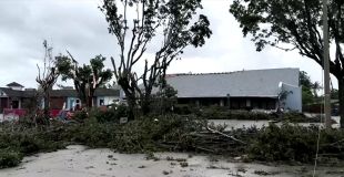 Árvores caídas em Fort Myers, Flórida, antes da chegada do Furacão Milton
