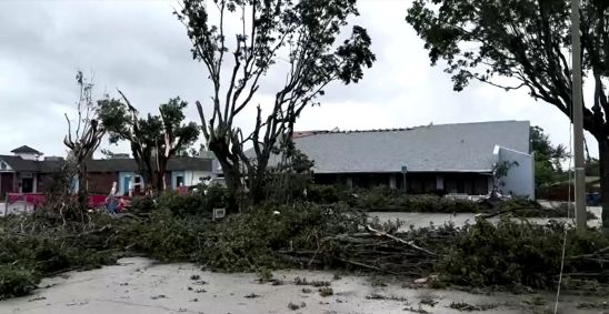 Árvores caídas em Fort Myers, Flórida, antes da chegada do Furacão Milton