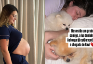 Viih Tube diz que cachorros estão sentindo nascimento do filho: "Um grude"