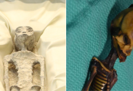 Nasa e extraterrestres: confira últimas atualizações da agência americana