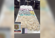 Polícia estoura "bunker do tráfico" na zona leste de São Paulo; veja imagens