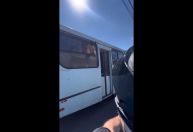 Vídeo: Cavalos "pegam carona" em ônibus em Porto Alegre