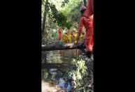 Bahia: Corpo da menina que caiu em bueiro foi encontrado a 2 km do local do acidente