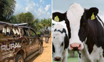 Polícia prende quadrilha por tentativa de furto de gados em MT