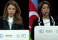 COP29: Delegações ucraniana e palestina alertam sobre impactos da guerra