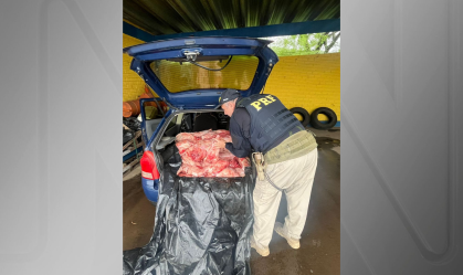 APREENSÃO-CARNE-CAPIVARA