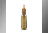 Execução em Guarulhos: fuzil encontrado é de uso restrito e pode causar "laceração de tecidos"