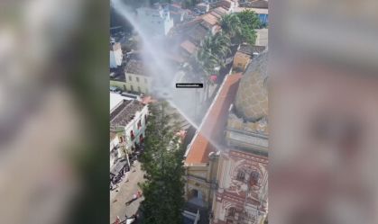 Bombeiros de PE abrem investigação após resgate de gato terminar em morte
