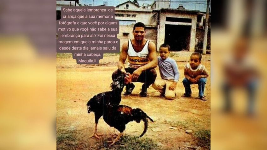 • Reprodução