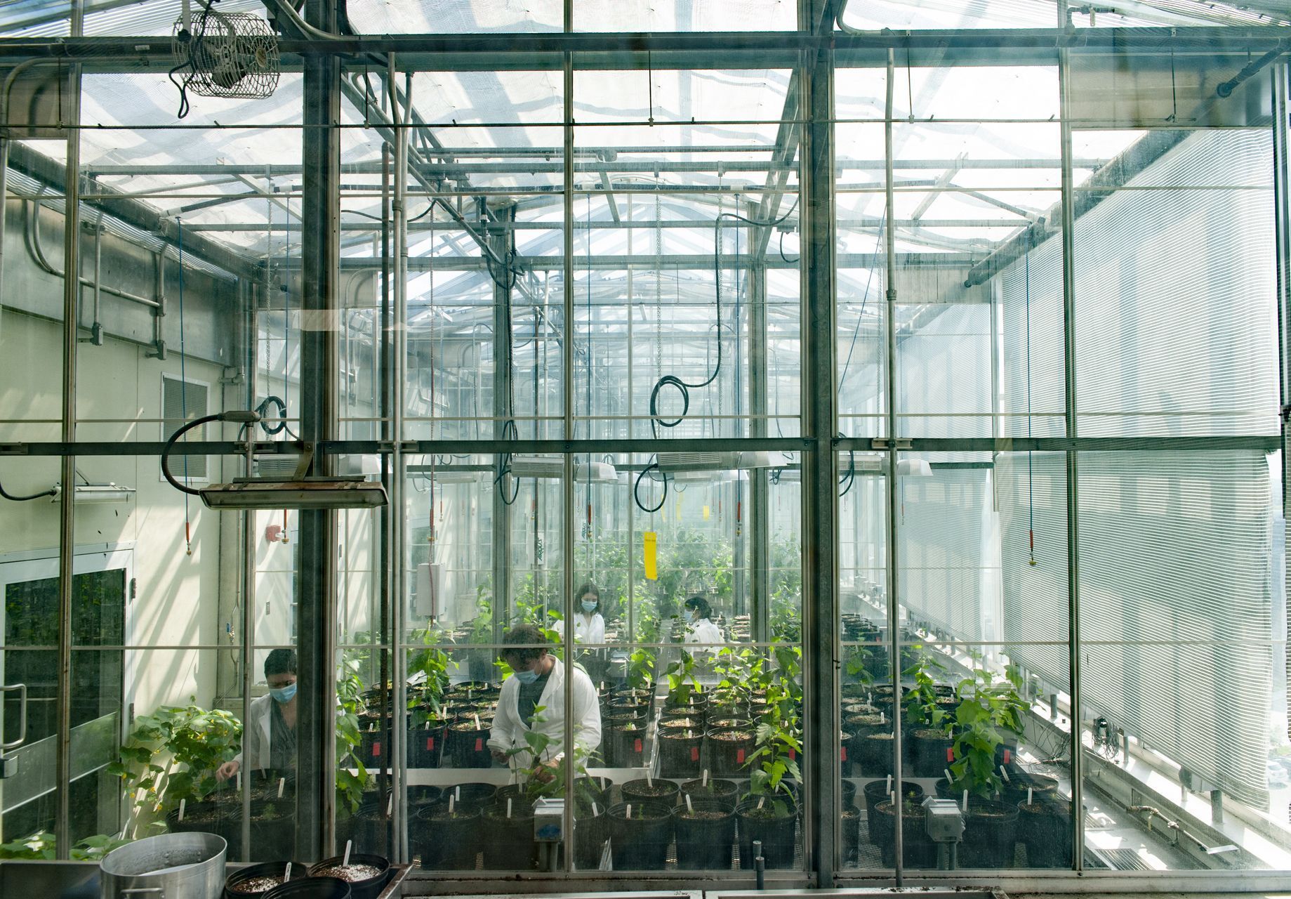 Pesquisadores trabalham em uma instalação da Universidade de Western Ontario que pode simular quase qualquer clima na Terra.
