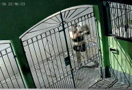 Vídeo: cachorra Shih Tzu é roubada na garagem de casa no litoral de SP; polícia investiga