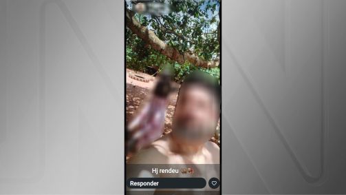 Servidor publicou foto com o javali morto em suas redes sociais