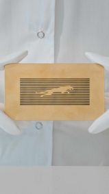 Jaguar: marca busca se reinventar e atrair nova geração