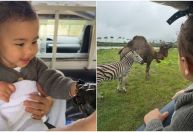 Bruna Biancardi mostra Mavie encantada com animais em safári