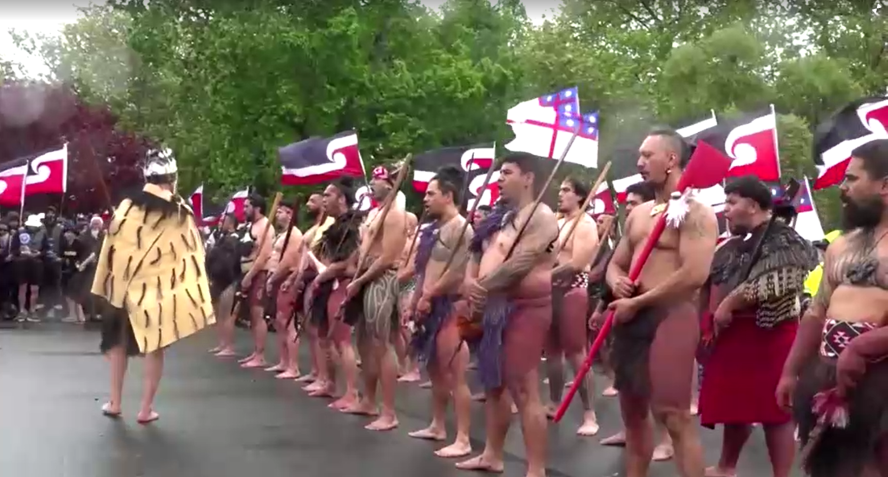Manifestantes da Nova Zelândia marcha em direção a Wellington para protestar contra projeto de lei do tratado indígena • TVNZ