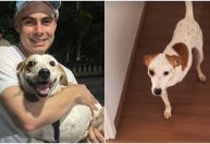 Tatá Werneck e Rafa Vitti adotam cachorro com deficiência