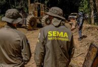Mato Grosso embargou área equivalente a 300 mil campos de futebol em 2024