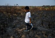 Mais de 420 mil crianças sofrem com seca recorde na região amazônica, diz Unicef