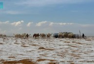 Deserto na Arábia Saudita registra neve pela primeira vez; veja fotos