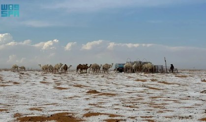 Deserto na Arábia Saudita registra neve pela primeira vez; veja fotos