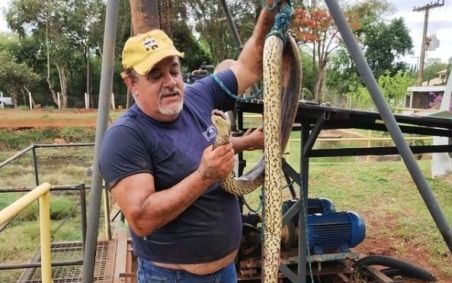 Sucuri foi encontrada morta na estação de tratamento de água da cidade