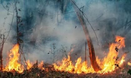 incêndio