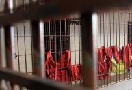 Fuga frustrada: detentos tentam fugir de prisão serrando grades e acabam pegos