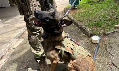 Evento com ministros do STF e Theresa May tem reforço na segurança com cão farejador de bombas