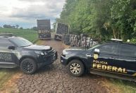 PF apreende mais de 700 caixas de cigarros contrabandeadas no Paraná