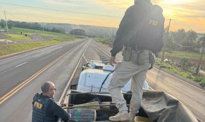 PRF apreende cinco toneladas de maconha escondidas em carga de milho no PR