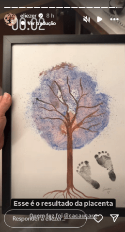 Arte feita com placenta de Viih Tube da gestação de Ravi • Instagram/Eliezer