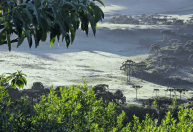 Serra catarinense amanhece com geada e mínima de 2,5°C; veja fotos
