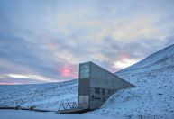 "Cofre do apocalipse": banco de sementes na Noruega pode salvar a humanidade
