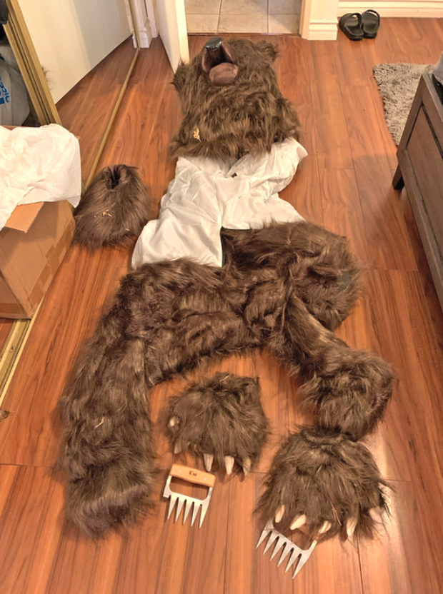 bearfake