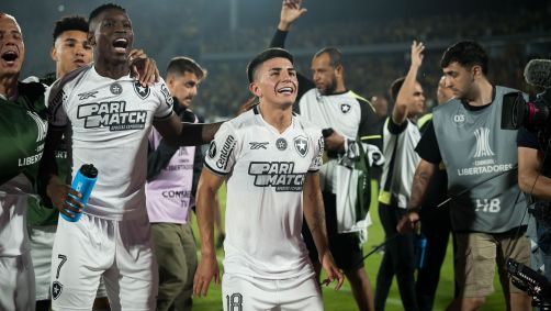 Jogadores do Botafogo comemoram a classificação à final da Libertadores
