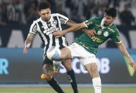 Enquete: o Botafogo vai perder o Brasileirão de novo? Vote!