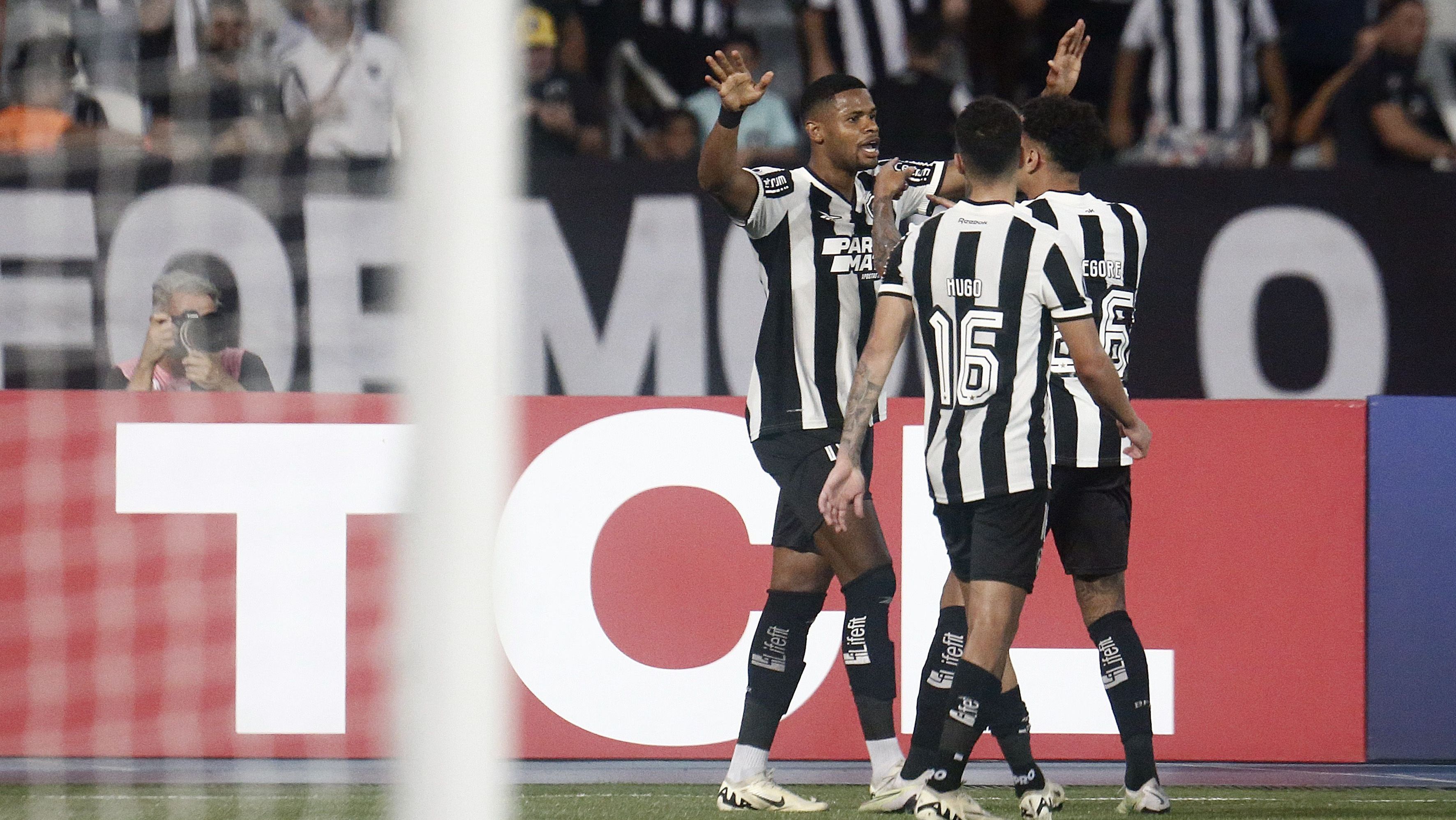 Jogadores do Botafogo comemoram gol contra a LDU