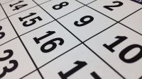 Quiz: Teste seus conhecimentos sobre os feriados de novembro
