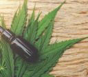 Projeto que garante uso medicinal de cannabis em MG é aprovado em 1º turno