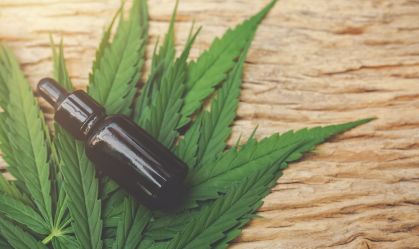 STJ julga cultivo de cannabis medicinal no Brasil; entenda a discussão