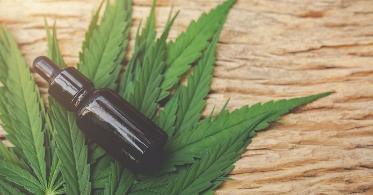 Cannabis medicinal: entenda os benefícios e para quem é indicada | CNN Brasil