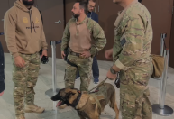 Em evento com presidente do STF, polícia usa cão farejador de bombas em SP